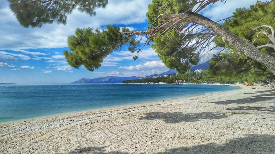 Apartment Ivana Makarska Exterior foto